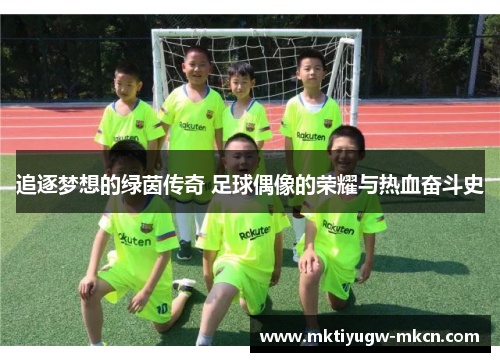 追逐梦想的绿茵传奇 足球偶像的荣耀与热血奋斗史