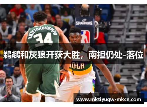 鹈鹕和灰狼开获大胜，南担仍处-落位