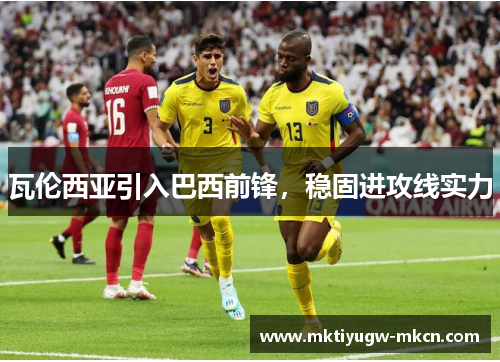 瓦伦西亚引入巴西前锋，稳固进攻线实力