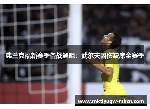 弗兰克福新赛季备战遇阻：武尔夫因伤缺席全赛季